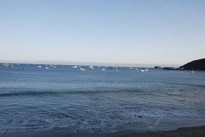DSC_20155 (Large) (Large).JPG